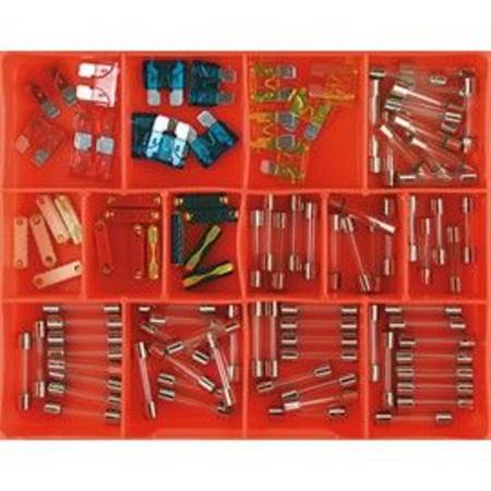 Buy CHAMPION AUTO FUSE ASSORTMENT 100PC in NZ. 