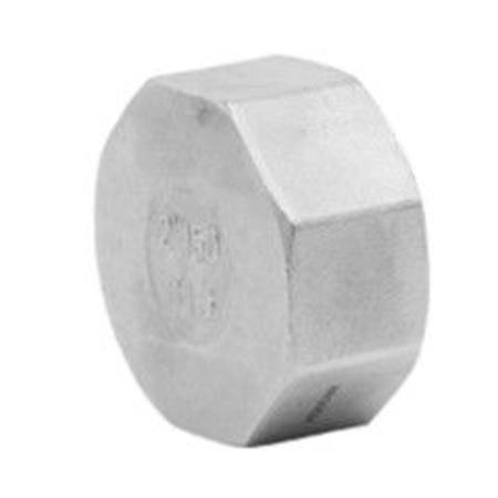 3/4"-20MM BSP 316 STAINLESS STEEL HEX CAP