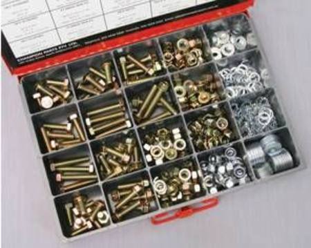 Buy CHAMPION ASSORTED M10 FASTENER MASTER KIT 401pc in NZ. 