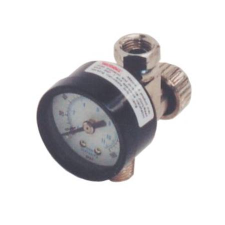 Buy WELLMADE 1/4 MINI REGULATOR & GAUGE in NZ. 